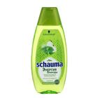 Шампунь для волос Schauma, «Свежая крапива & зелёное яблоко», 400 мл - Фото 2