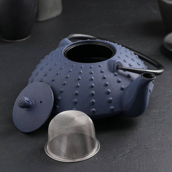 Чайник с ситом 1 л "Байсан", цвет синий