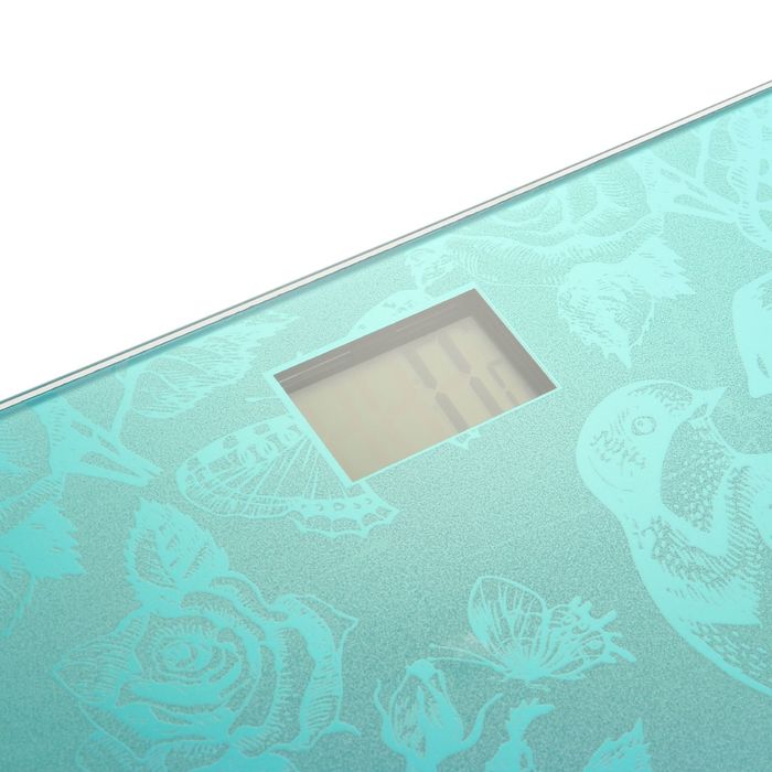 Весы напольные EuroStek ЕВS-2602, электронные, до 180 кг, LCD-дисплей