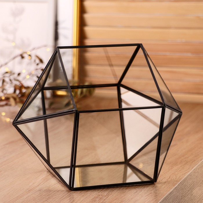 Флорариум каркас 18x28 см МИКС 1958₽