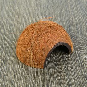 Скорлупа кокосовая 1/2, для рептилий и грызунов, L от Сима-ленд