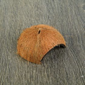 Скорлупа кокосовая 1/2 для рептилий и грызунов, M от Сима-ленд