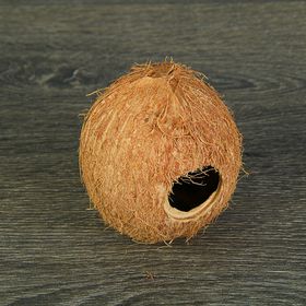 Скорлупа кокосовая целая для рептилий и грызунов, L от Сима-ленд