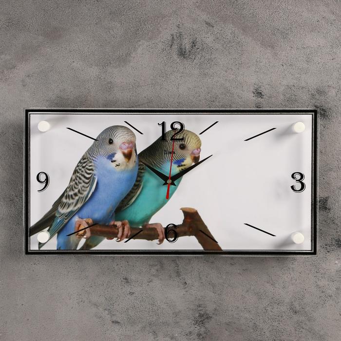 Часы настенные, серия Животный мир, Парочка попугаев, 19х39 см