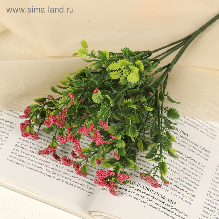 

Букет "Топчак" 32 см, микс