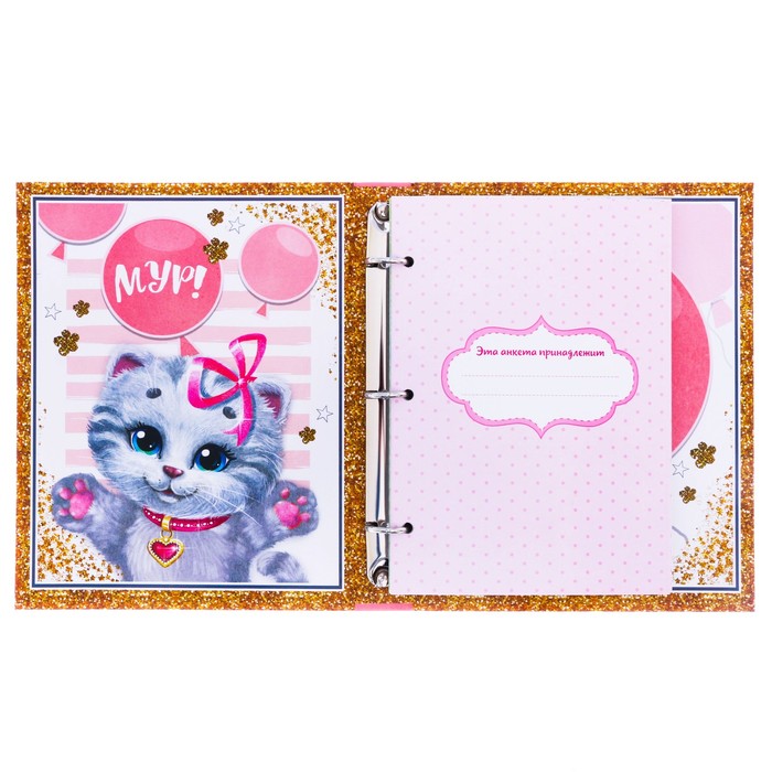 Анкета для девочек на кольцах с наклейками "Моя суперская анкета", твёрдая обложка, 60 страниц