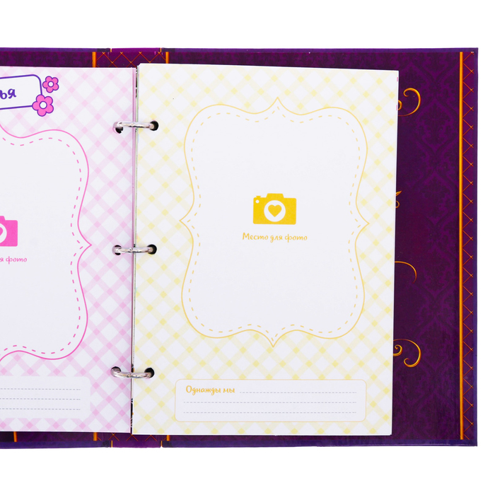 Анкета для девочек на кольцах с наклейками "Анкета ля друзей. Всё самое секретное", твёрдая обложка, 60 страниц