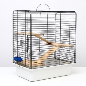 

Клетка "Маргаритка 2" для шиншиллы, дегу, 55 х 41 х 70 см, микс цветов