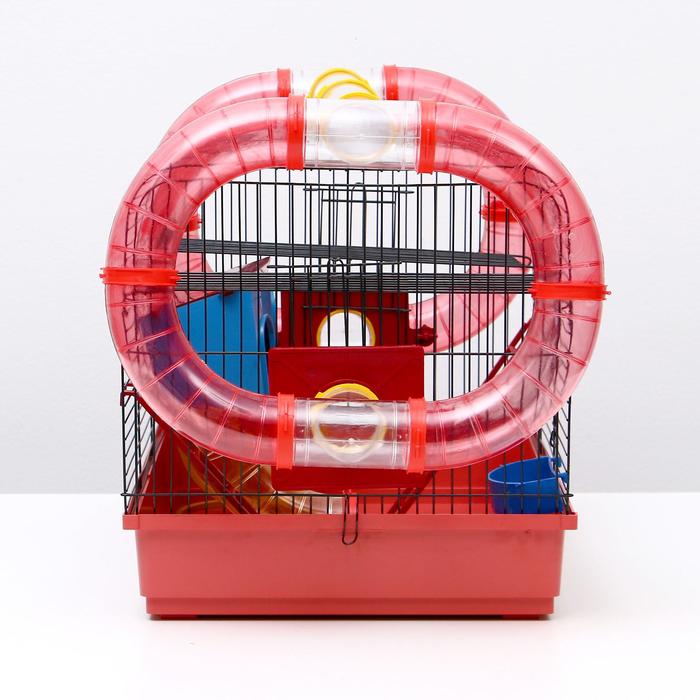 Клетка для грызунов "Хома 4", 55 x 37 x 42 см, микс цветов