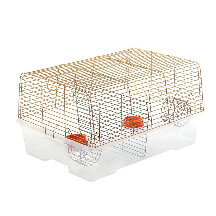 Клетка для кроликов и морских свинок «Роджер 1 (Дуэт)», 78 х 56 х 42 см, микс цветов