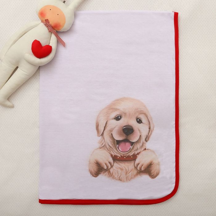 Плед двухслойный "Лабрадор", размер 110Х80