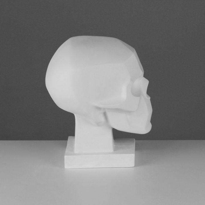 Гипсовая фигура. Обрубовка черепа по Баммесу, 23,5 х 16 х 27 см