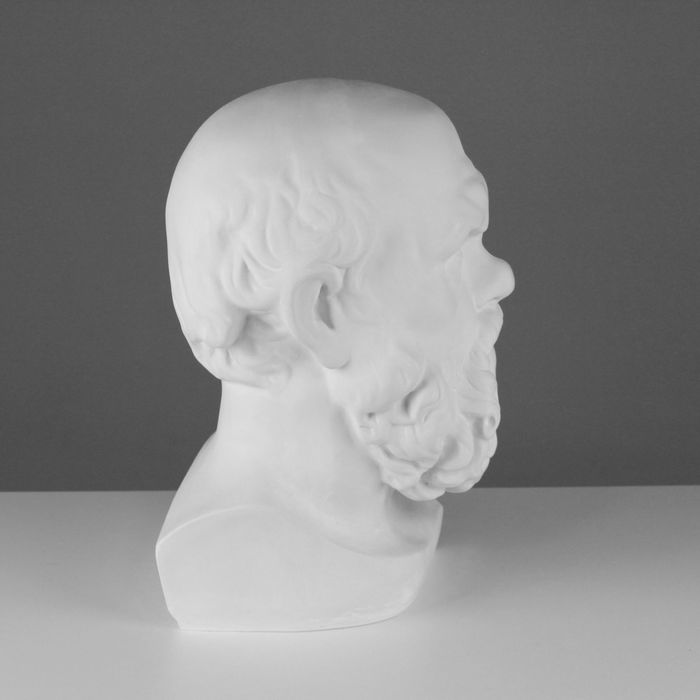 Гипсовая фигура, голова Сократа «Мастерская Экорше», 20 х 20 х 38,5 см