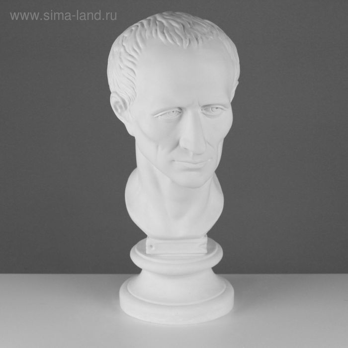Гипсовая фигура Голова Цезаря, 20 х 27 х 52 см гипсовая фигура голова цезаря 20 х 27 х 52 см