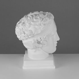 Гипсовая фигура, Голова Диадумена «Мастерская Экорше», 20х20х33 см