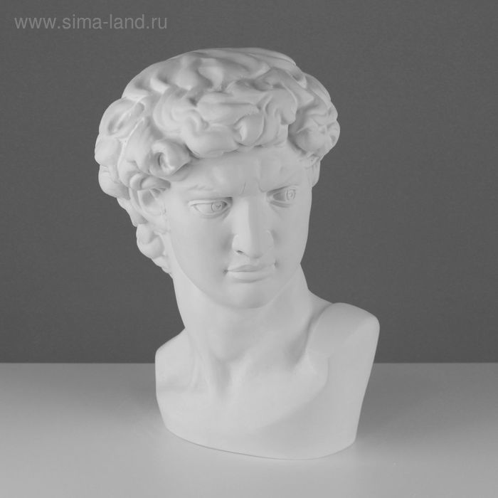 цена Гипсовая фигура Давида Микеланджело, 30 х 28 х 46 см