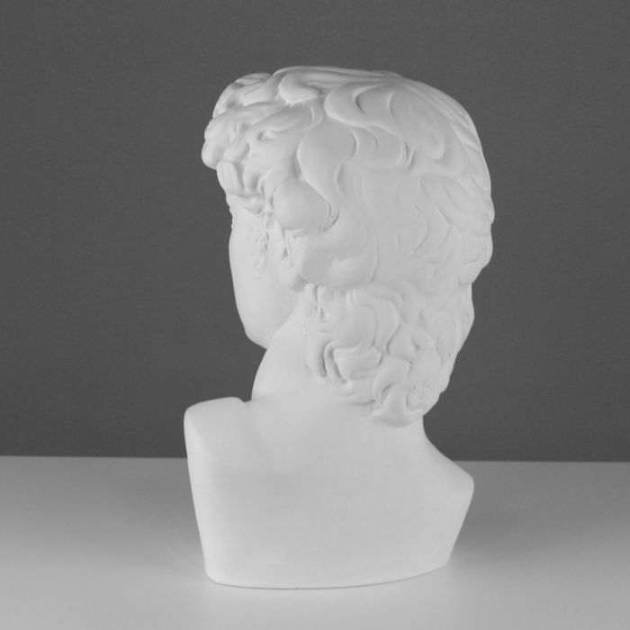 Гипсовая фигура, Давида Микеланджело «Мастерская Экорше», 30 х 28 х 46 см