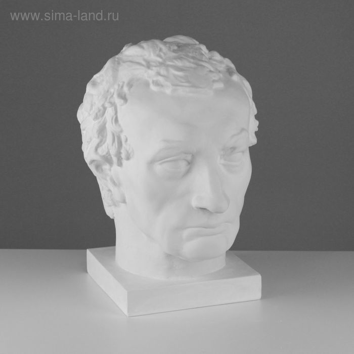 

Гипсовая фигура Голова Гаттамелата, 26 х 33 х 40 см
