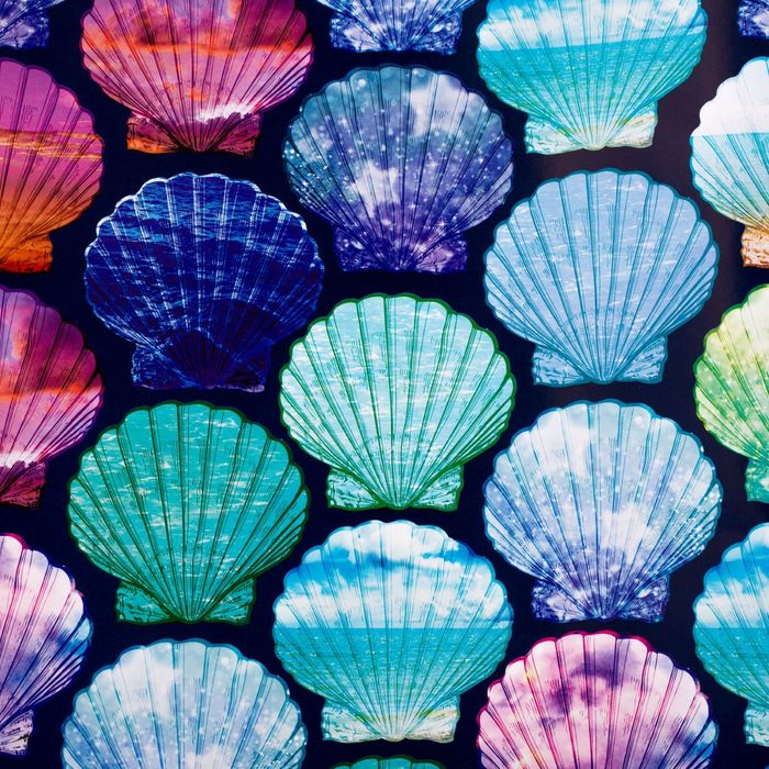Бумага упаковочная глянцевая "Морские ракушки", 70 х 100 см
