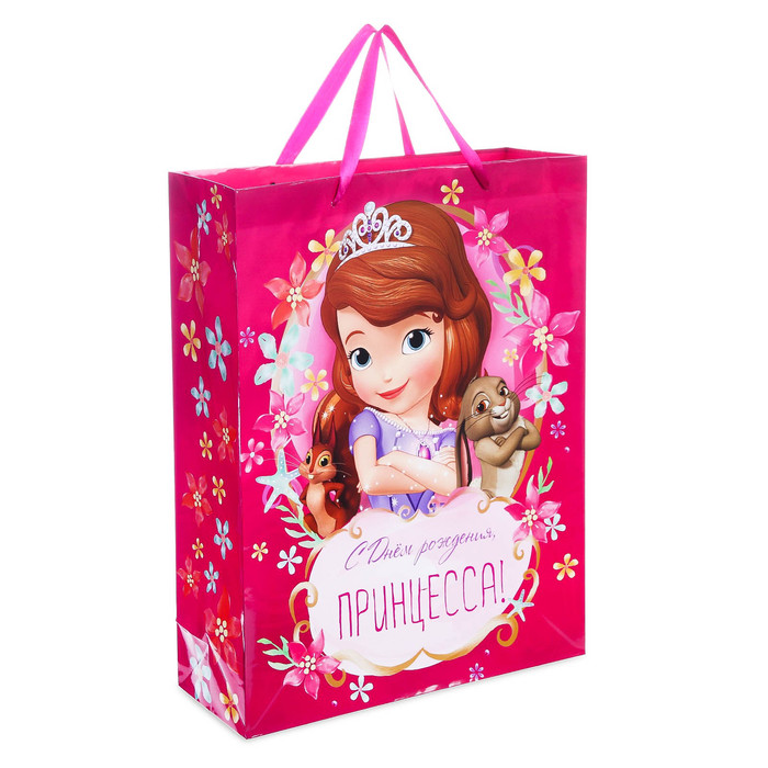 Пакет ламинированный вертикальный "С Днем рождения, принцесса", София Прекрасная, 23 х 27 х 11.5 см