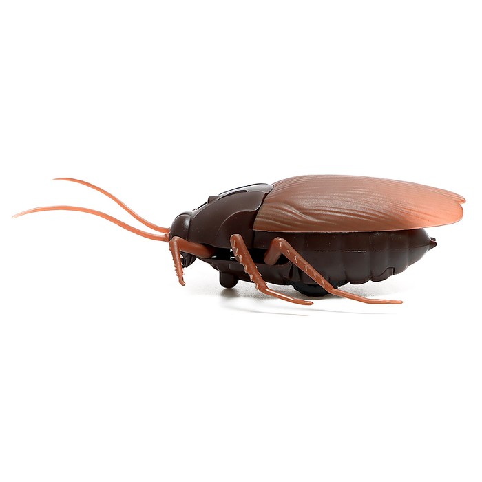 фото Жук радиоуправляемый «таракан», работает от батареек, свет woow toys