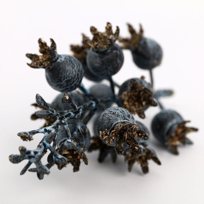 Набор декора «Ягодное безумие»,