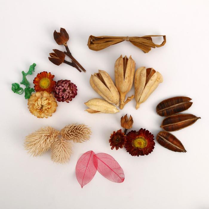 Набор природного декора "Солнце на ладошке"