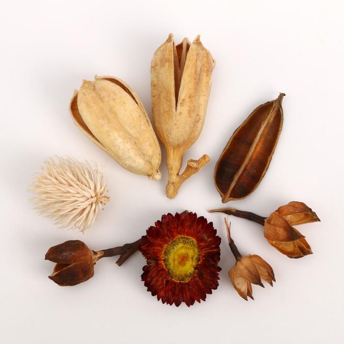 Набор природного декора "Солнце на ладошке"