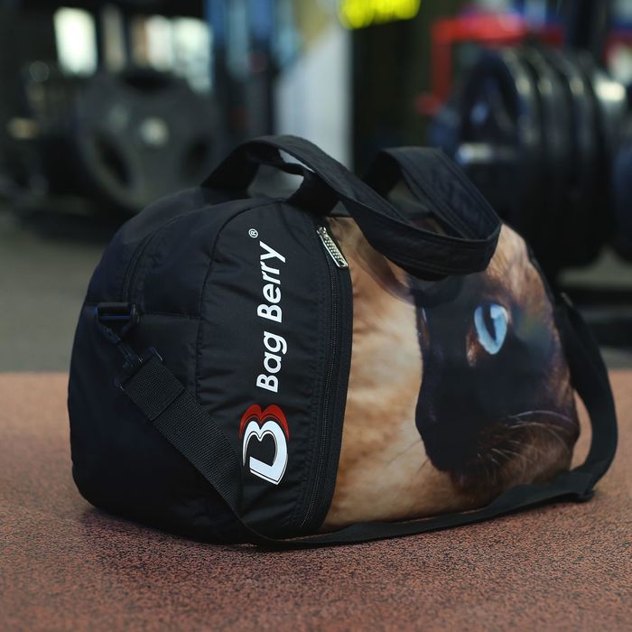 Сумка спорт "Фитнес", 50*18*30, отд на молнии, н/карман, регул ремень, Кот с голубыми глазам