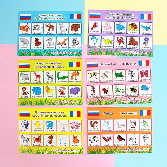 Лото "Живая планета", французский язык