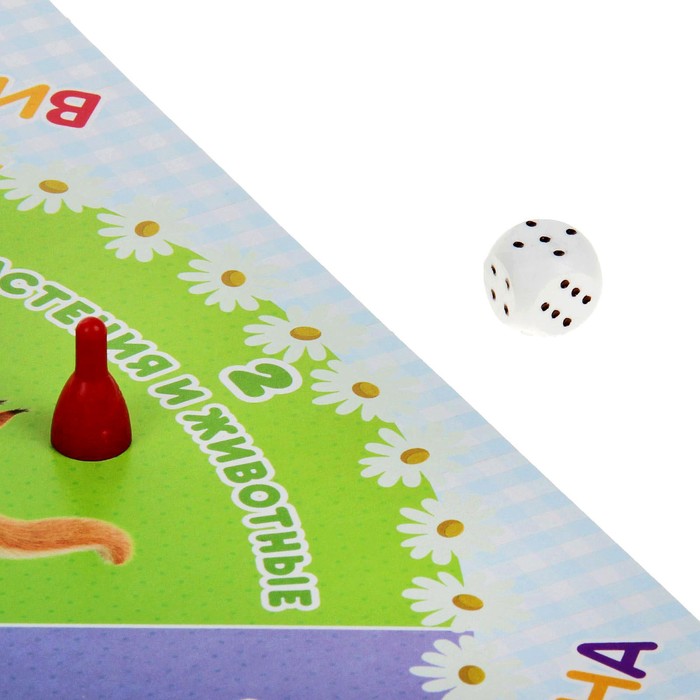 Викторина 500 вопросов "Маша и Медведь"