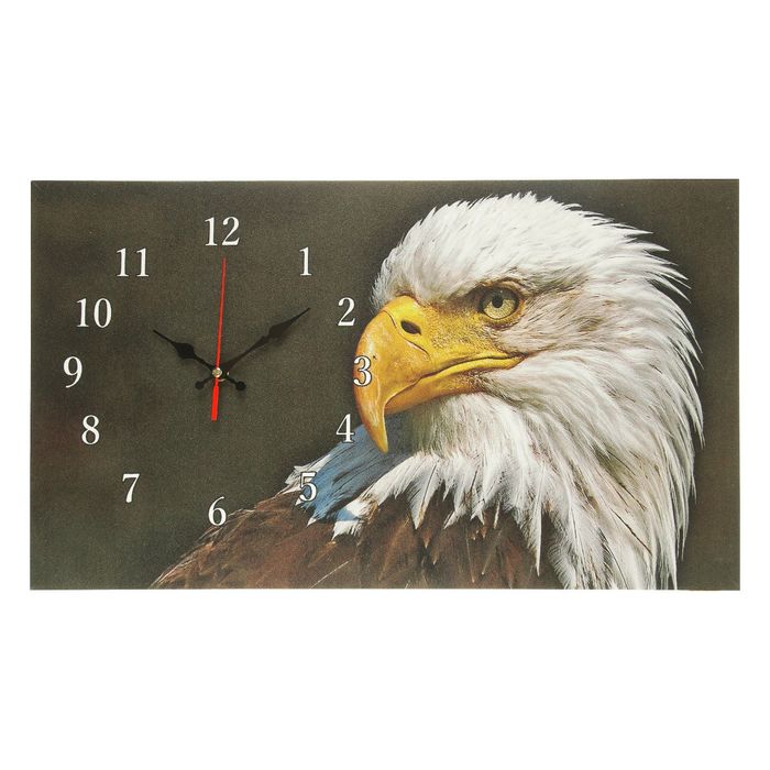 Часы на холсте "Орёл", 35х60 см микс