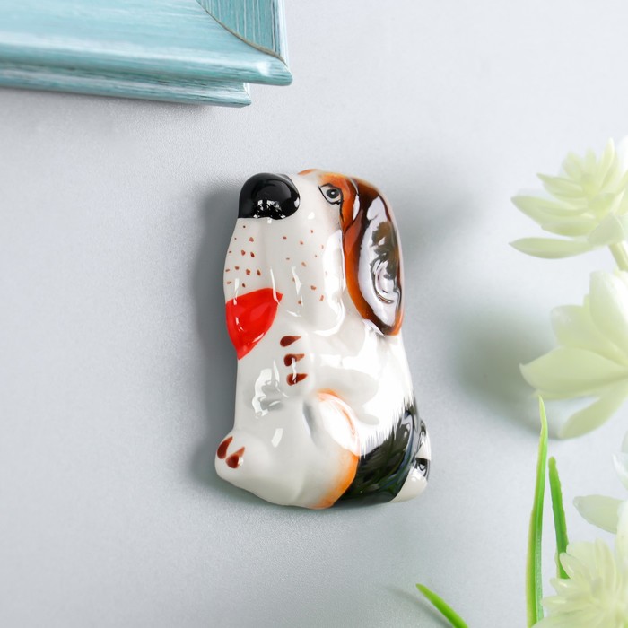 Магнит керамика "Бассет" 6х4,7х1,5 см