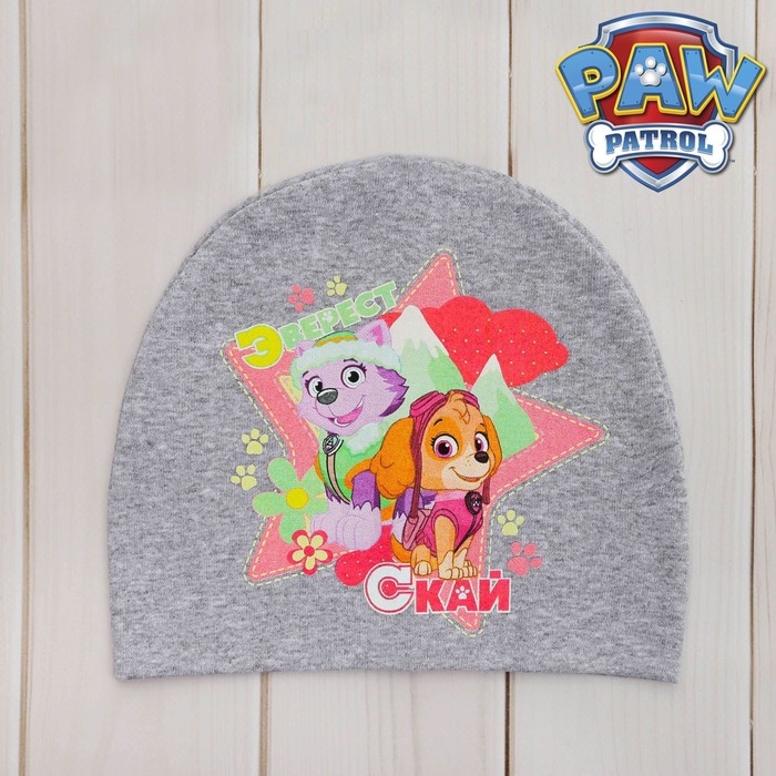 Щенячий патруль. Шапка детская Paw Patrol "Скай и Эверест" размер 54, хлопок 100%