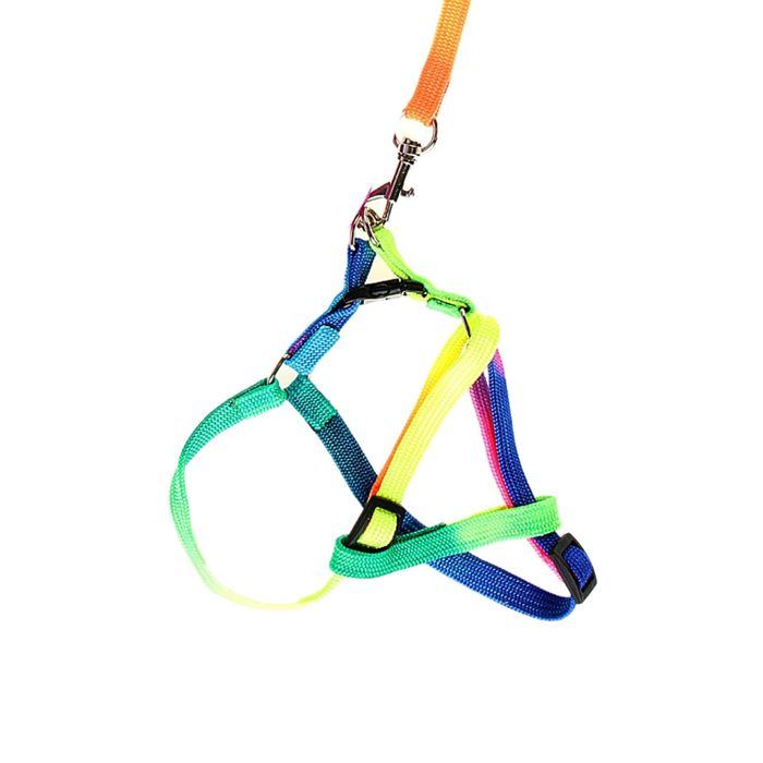 Комплект "Радуга", ширина 1 см, поводок 120 см, шлейка (обхват груди, шеи) 23-34 см, полиэстер