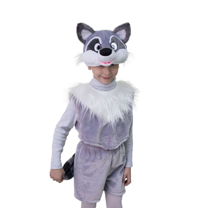 Карнавальный костюм "Енот", маска-шапочка, жилет, шорты, обхват груди 60 см, обхват бёдер 64 см, рост 122 см