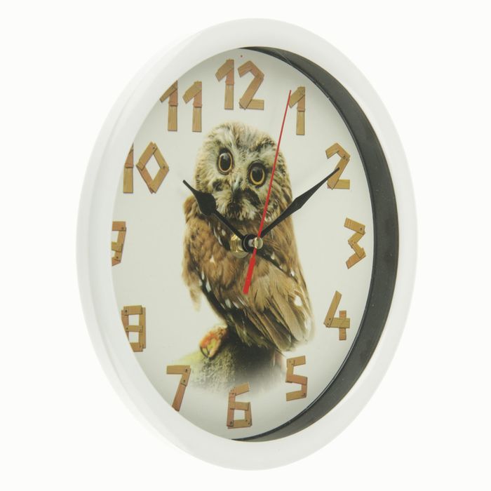 Часы настенные круг,рама белая, Сова, 22*4*21,5см