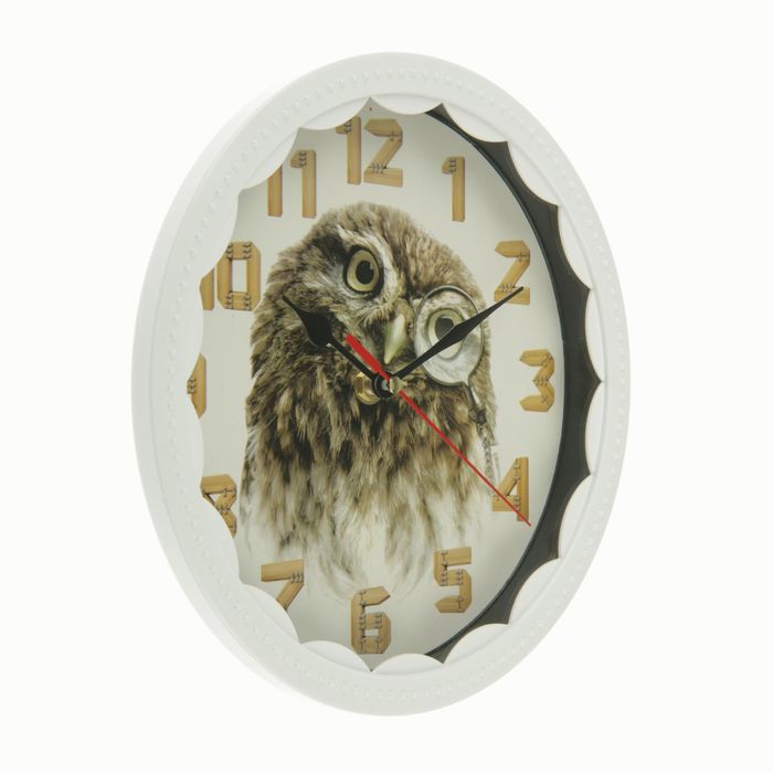 Часы настенные круг, рама белая, Сова с моноклем, 22*4*21,5см