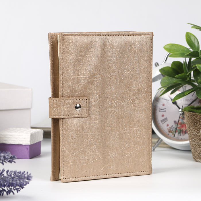 Альбом кожзам для хранения сережек 48 пар "Кофе с молоком" 3,5х18,5х14 см