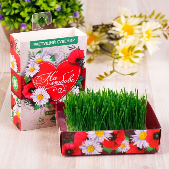 Растущий сувенир в коробочке "На любовь"