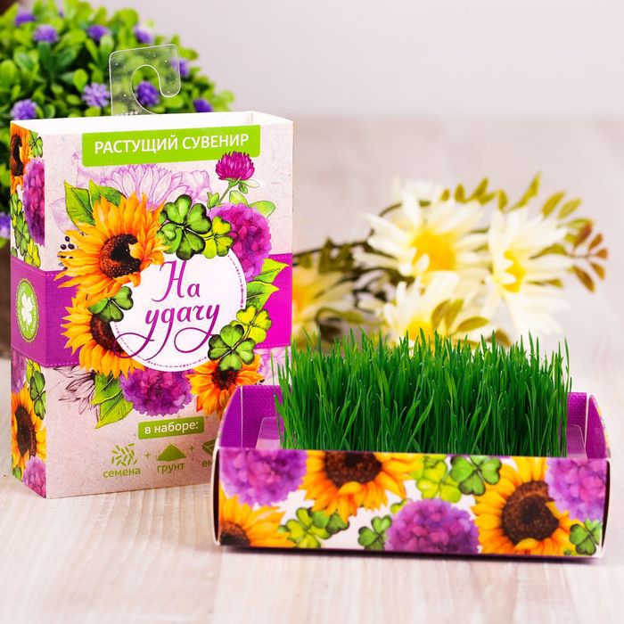 Растущий сувенир в коробочке "На удачу"