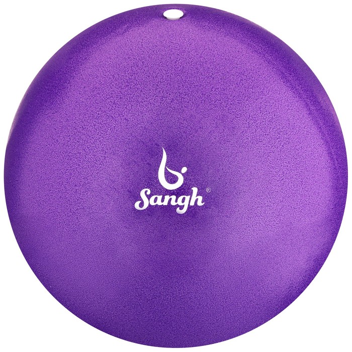 фото Мяч для йоги, 25 см, 100 г, цвет фиолетовый sangh