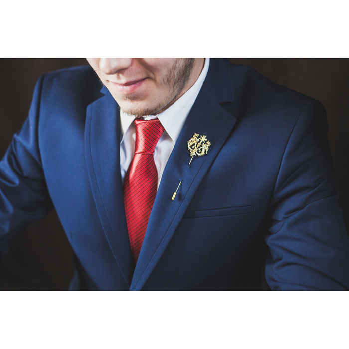 Булавка мужская "Грифоны", цвет золото