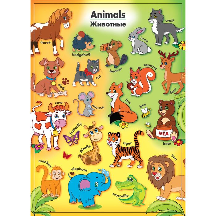 Обучающий плакат "Животные на английском языке" А4
