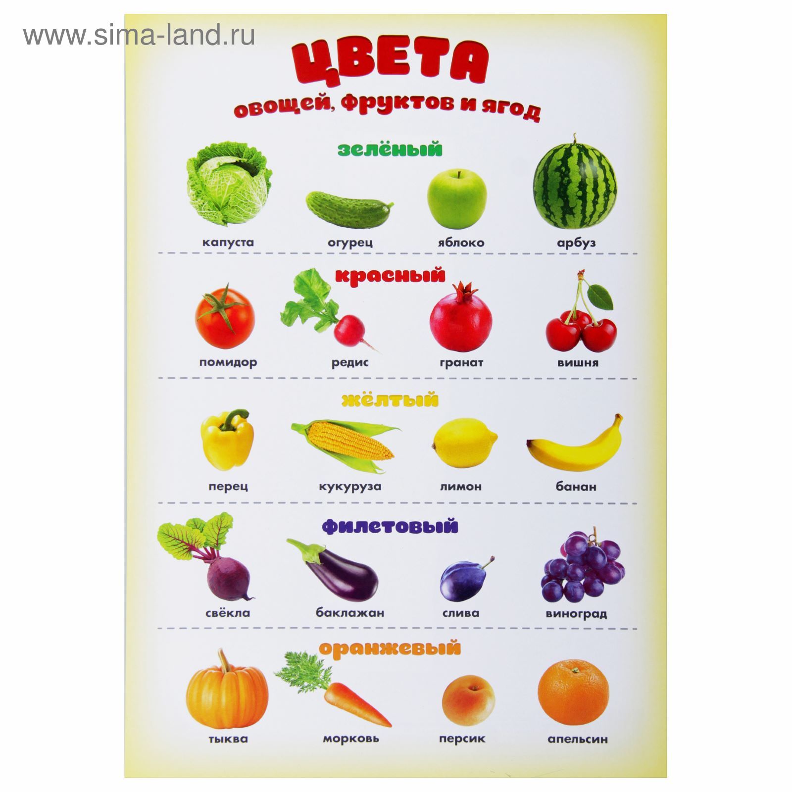 Название овощей и фруктов