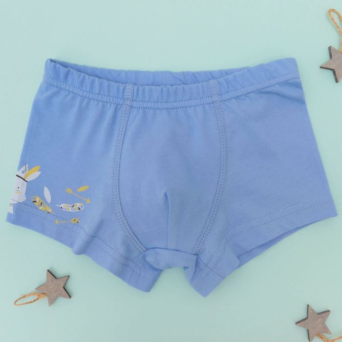 Набор трусов детских KAFTAN "Индеец" 2 шт, рост 98-104 (30), 3-4 года 100% хлопок