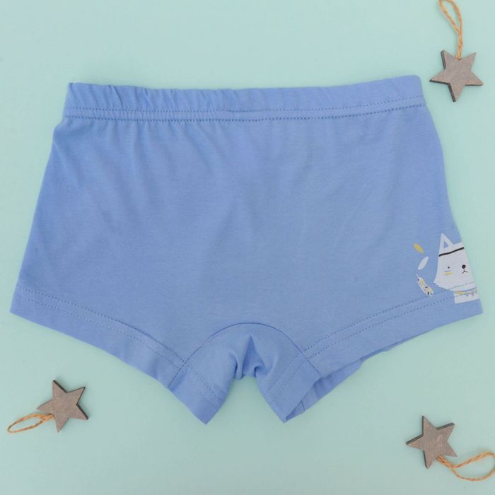 Набор трусов детских KAFTAN "Индеец" 2 шт, рост 98-104 (30), 3-4 года 100% хлопок