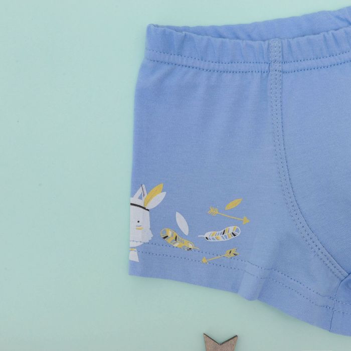 Набор трусов детских KAFTAN "Индеец" 2 шт, рост 98-104 (30), 3-4 года 100% хлопок