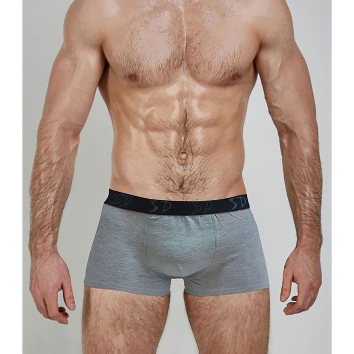 Трусы мужские боксеры SD1000-3 цвет серый, р-р 50-52 (XL)