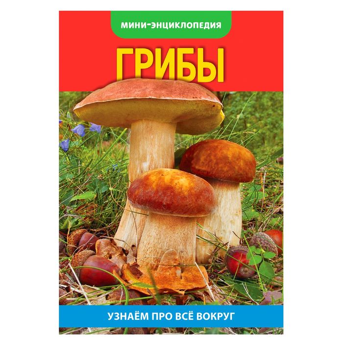 Мини-энциклопедия "Грибы" 20 страниц